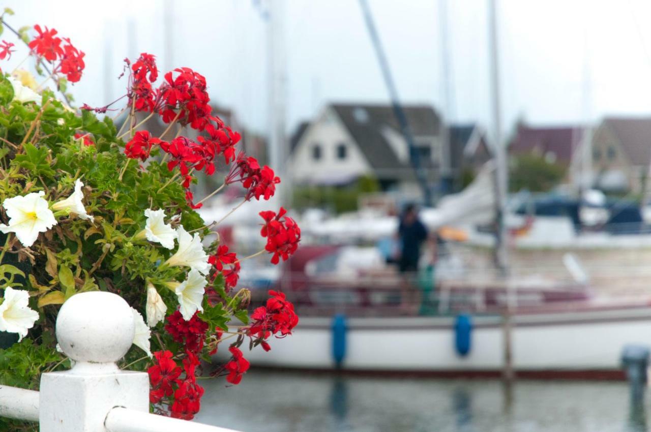 Heerlijk Huis Aan Het Ijsselmeer Stavoren Eksteriør bilde