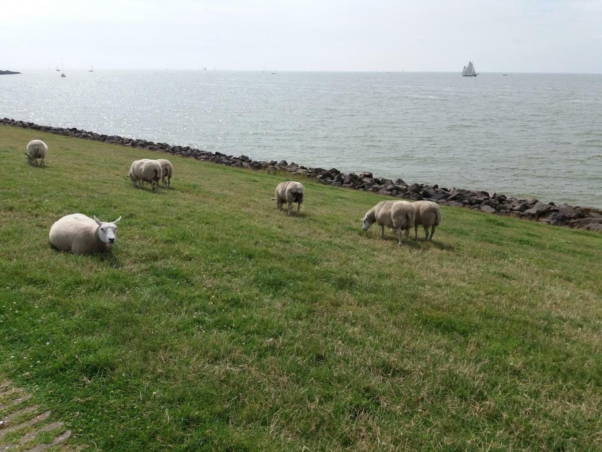 Heerlijk Huis Aan Het Ijsselmeer Stavoren Eksteriør bilde