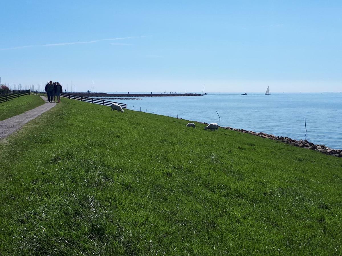 Heerlijk Huis Aan Het Ijsselmeer Stavoren Eksteriør bilde